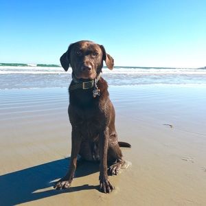 Meet your Posher, Jolene